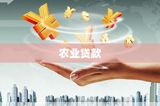 颍上农业贷款