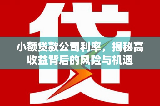 玛曲小额贷款公司利率，揭秘高收益背后的风险与机遇