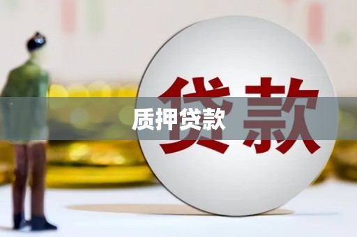 溆浦质押贷款