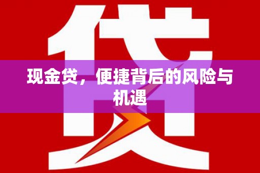 滦县现金贷，便捷背后的风险与机遇