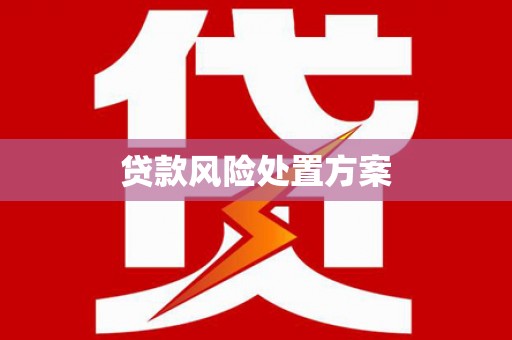 和县贷款风险处置方案