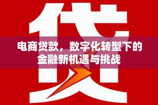 丰顺电商贷款，数字化转型下的金融新机遇与挑战