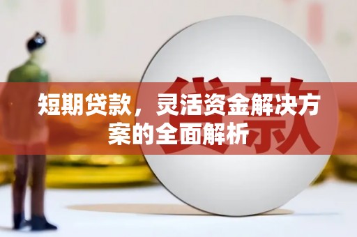 凤阳短期贷款，灵活资金解决方案的全面解析