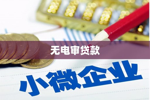通海无电审贷款