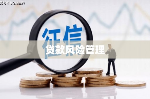小港贷款风险管理