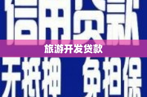 新华旅游开发贷款