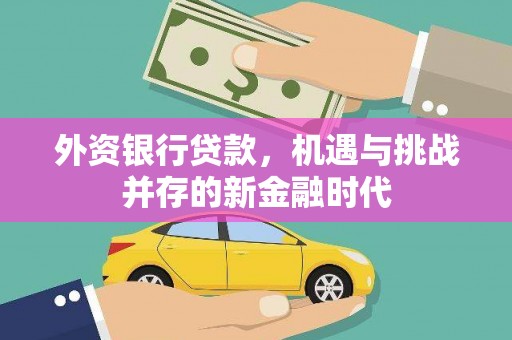 梅山外资银行贷款，机遇与挑战并存的新金融时代