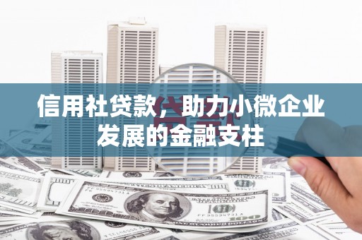 浉河信用社贷款，助力小微企业发展的金融支柱