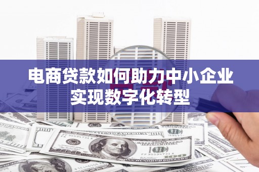 榆树电商贷款如何助力中小企业实现数字化转型