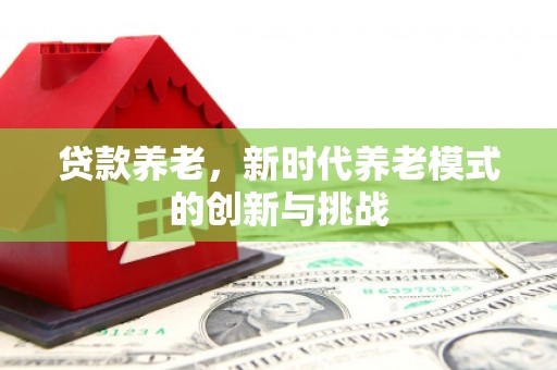 南湖贷款养老，新时代养老模式的创新与挑战