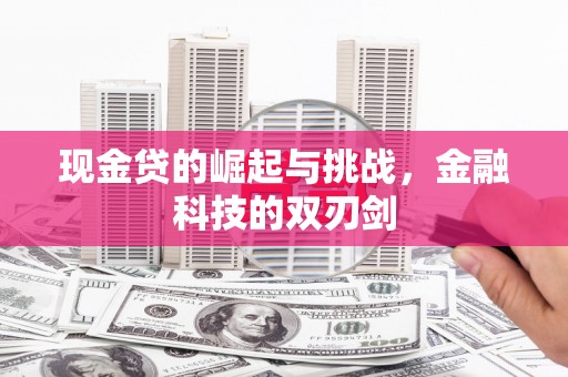 曲麻莱现金贷的崛起与挑战，金融科技的双刃剑