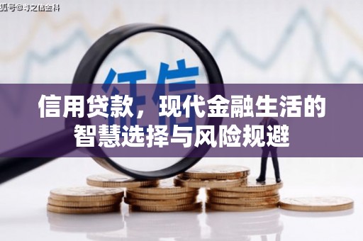 潭子信用贷款，现代金融生活的智慧选择与风险规避