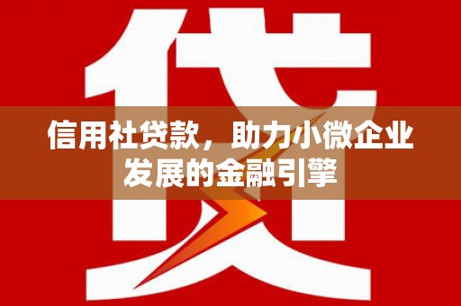 达孜信用社贷款，助力小微企业发展的金融引擎