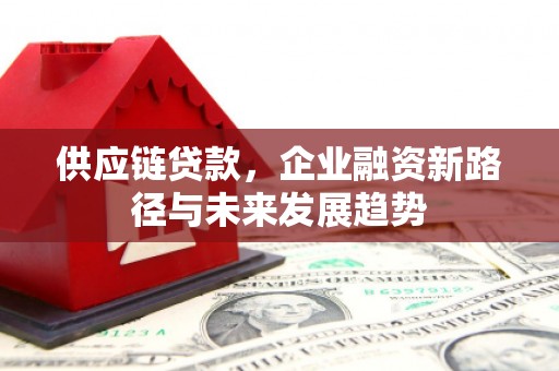 狮子山供应链贷款，企业融资新路径与未来发展趋势