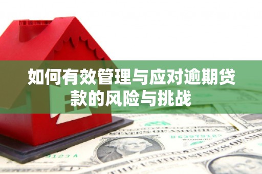 德钦如何有效管理与应对逾期贷款的风险与挑战