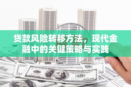 东阿贷款风险转移方法，现代金融中的关键策略与实践