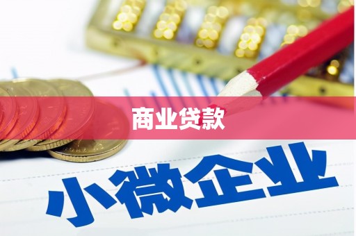 维西商业贷款 维西商业贷款