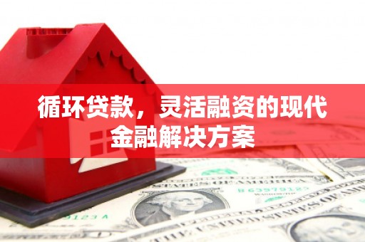 南宫循环贷款，灵活融资的现代金融解决方案