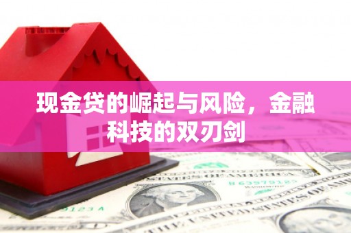 宣化现金贷的崛起与风险，金融科技的双刃剑