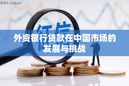 乡城外资银行贷款在中国市场的发展与挑战