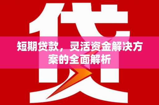 名山短期贷款，灵活资金解决方案的全面解析
