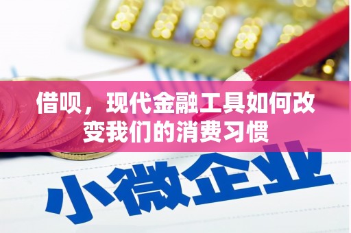 迭部借呗，现代金融工具如何改变我们的消费习惯