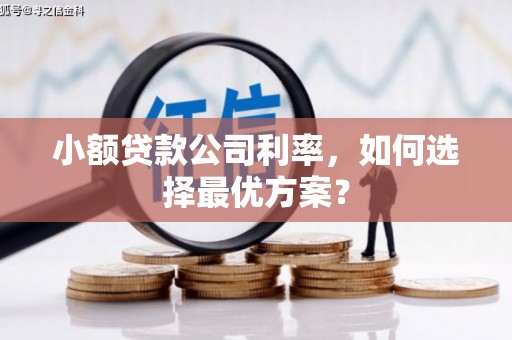 阿巴嘎旗小额贷款公司利率，如何选择最优方案？