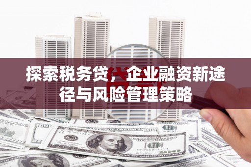 暖暖探索税务贷，企业融资新途径与风险管理策略
