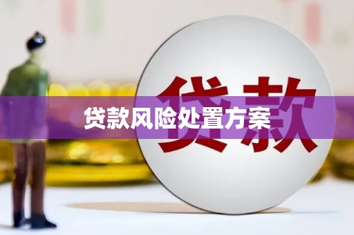 涿州贷款风险处置方案