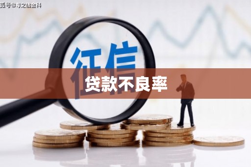 滑县贷款不良率