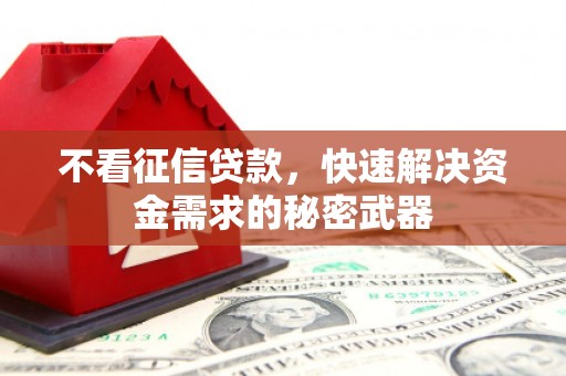 吉木萨尔不看征信贷款，快速解决资金需求的秘密武器