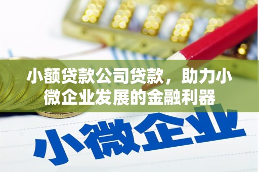 都匀小额贷款公司贷款，助力小微企业发展的金融利器