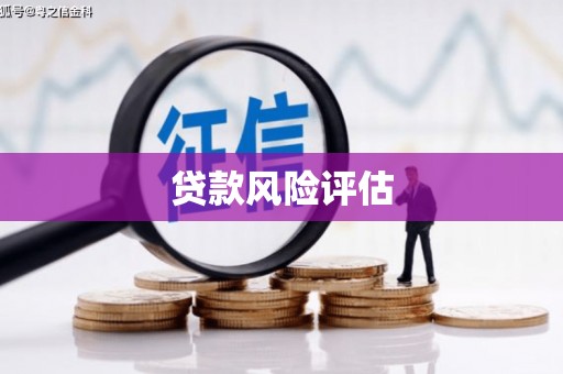 湖里贷款风险评估