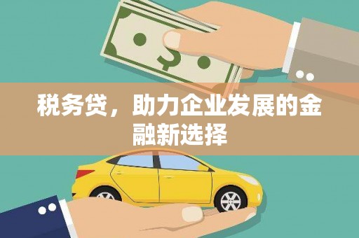 绥中税务贷，助力企业发展的金融新选择