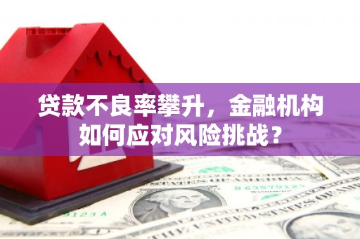 南平贷款不良率攀升，金融机构如何应对风险挑战？