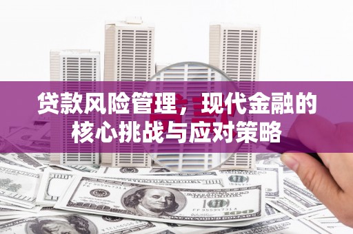 土默特左旗贷款风险管理，现代金融的核心挑战与应对策略