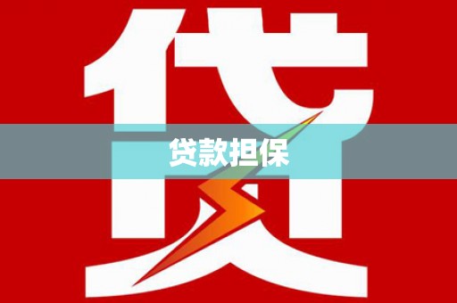 莎车贷款担保