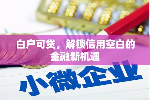 城区白户可贷，解锁信用空白的金融新机遇