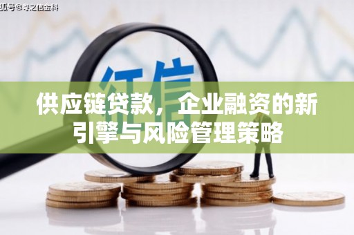 甘井子供应链贷款，企业融资的新引擎与风险管理策略