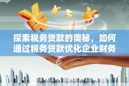 云浮探索税务贷款的奥秘，如何通过税务贷款优化企业财务