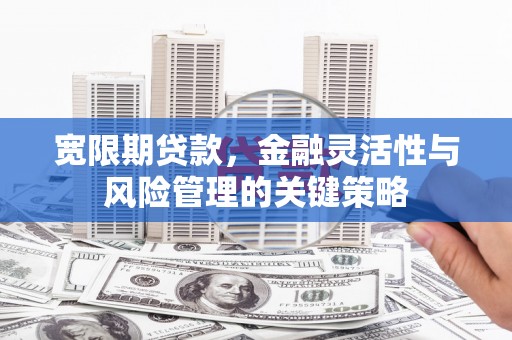 狮子宽限期贷款，金融灵活性与风险管理的关键策略