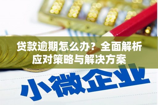 兰屿贷款逾期怎么办？全面解析应对策略与解决方案