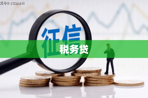 茂林税务贷