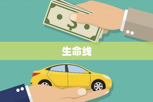 莎车生命线