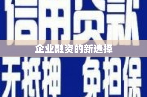 独山子企业融资的新选择