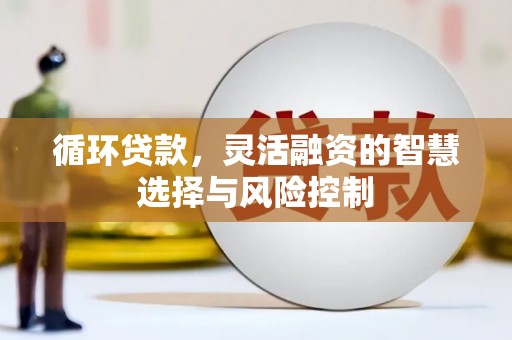 东乡循环贷款，灵活融资的智慧选择与风险控制