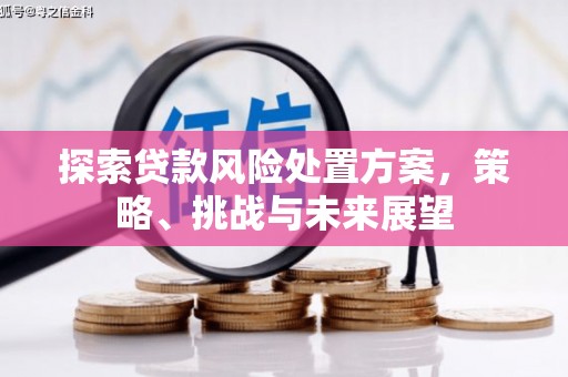 梅山探索贷款风险处置方案，策略、挑战与未来展望