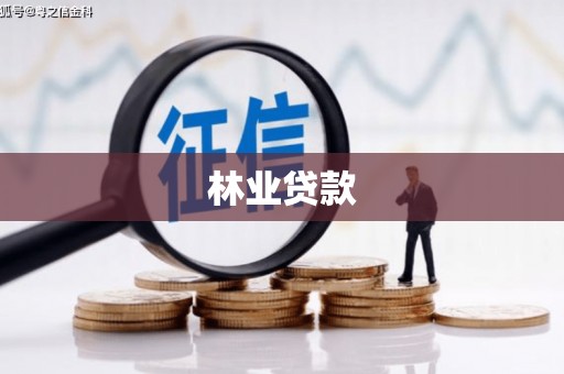 弋阳林业贷款