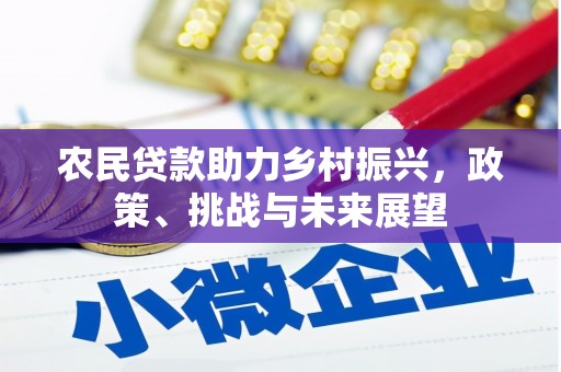 丰滨农民贷款助力乡村振兴，政策、挑战与未来展望