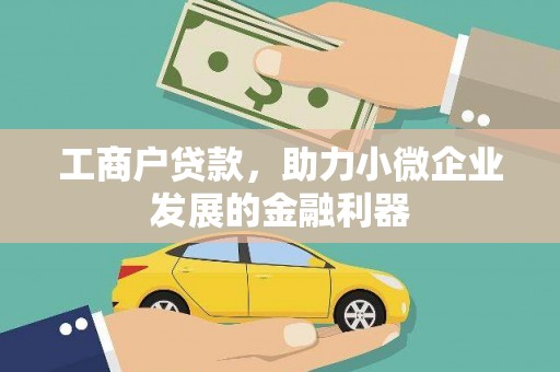 龙子湖工商户贷款，助力小微企业发展的金融利器